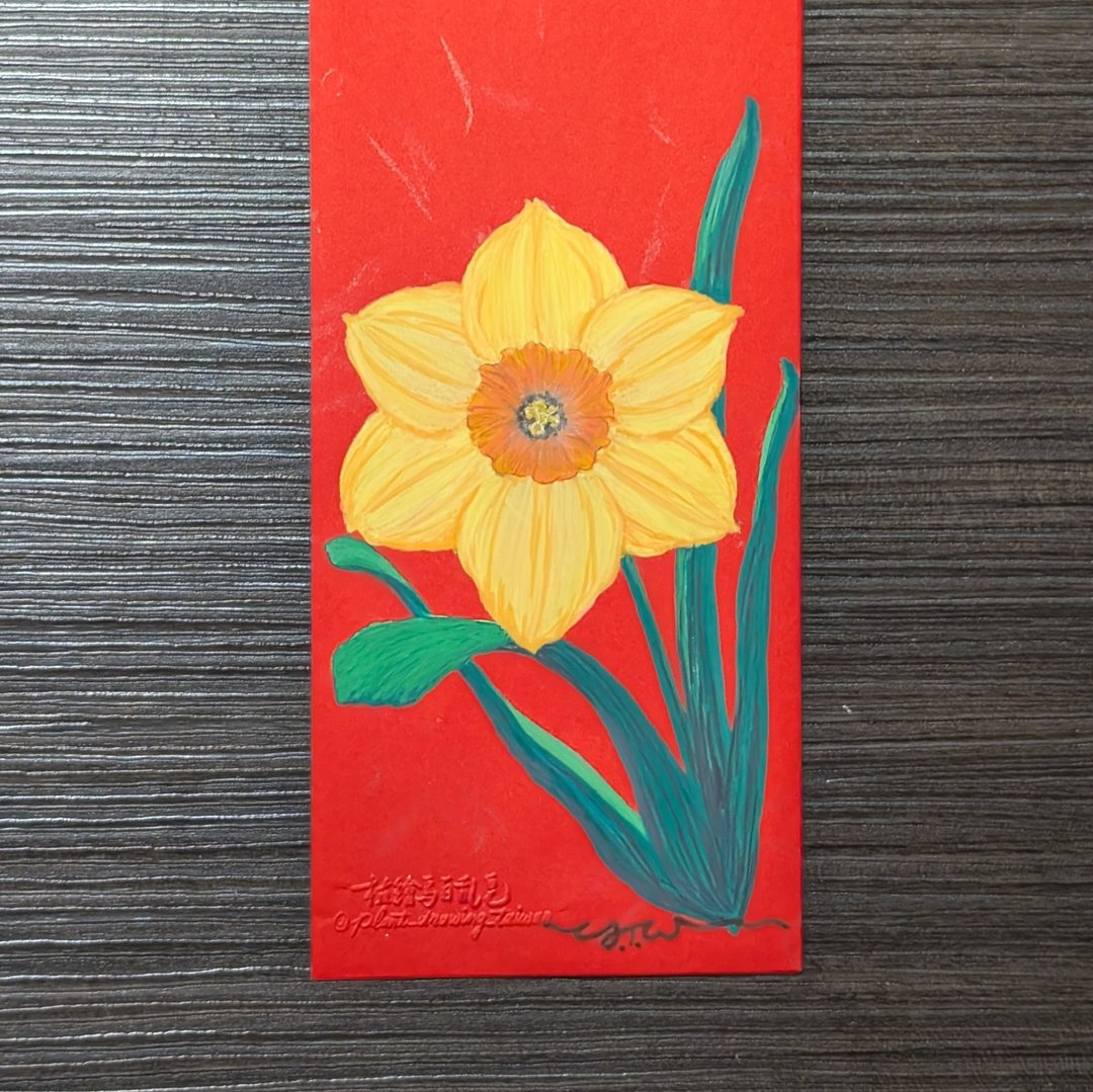 婚礼生日过年红包/ 水仙花插图 / 亲笔手绘 - 红包/春联 - 纸 