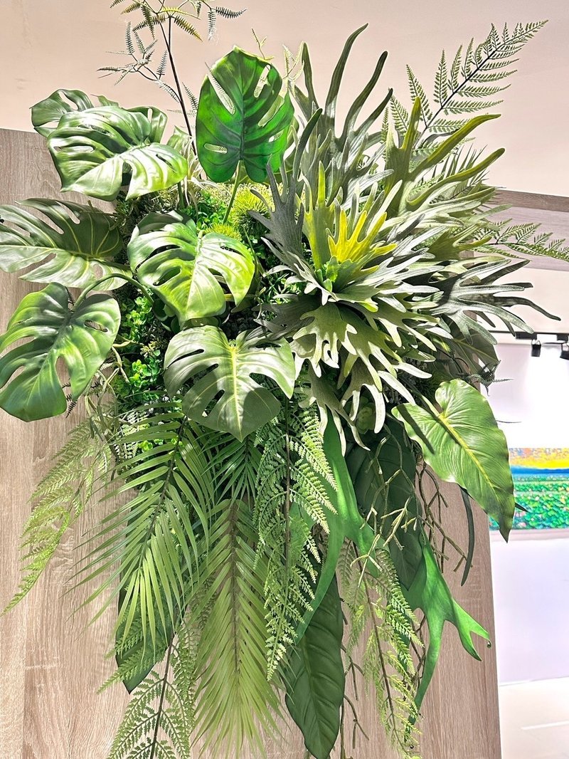 大型鹿角蕨生态壁饰/设备 包邮专人配送限双北市 其余地区需补运 - 植栽/盆栽 - 其他材质 绿色