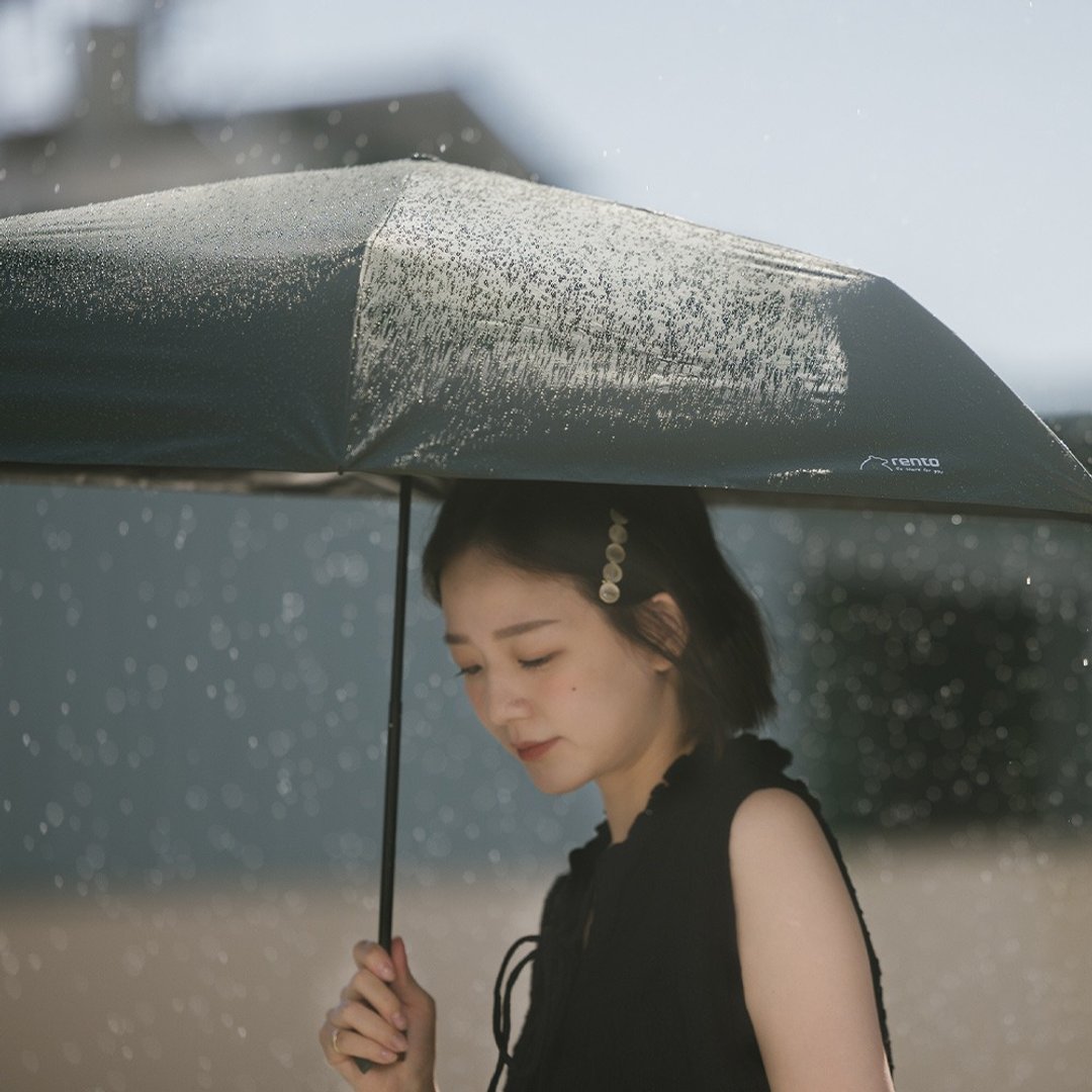 【rento】碳纤轻量黑胶晴雨伞-松叶 - 雨伞/雨衣 - 防水材质 绿色