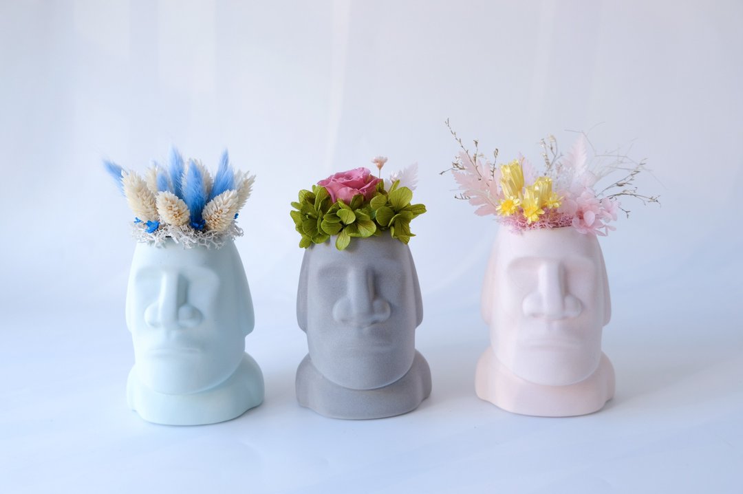 【摩艾巨人】 灰色/蓝色/粉色/不凋花/永生花/干燥花/盆栽 - 植栽/盆栽 - 植物．花 粉红色