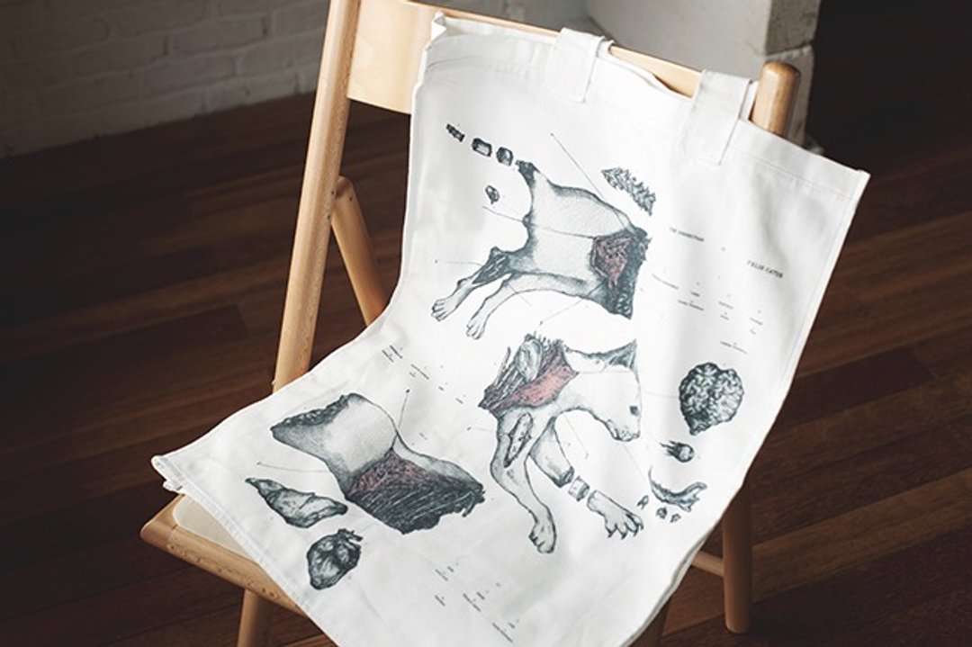 The Dissection of Felis Catus - oversized tote bag - 手提包/手提袋 - 棉 白色