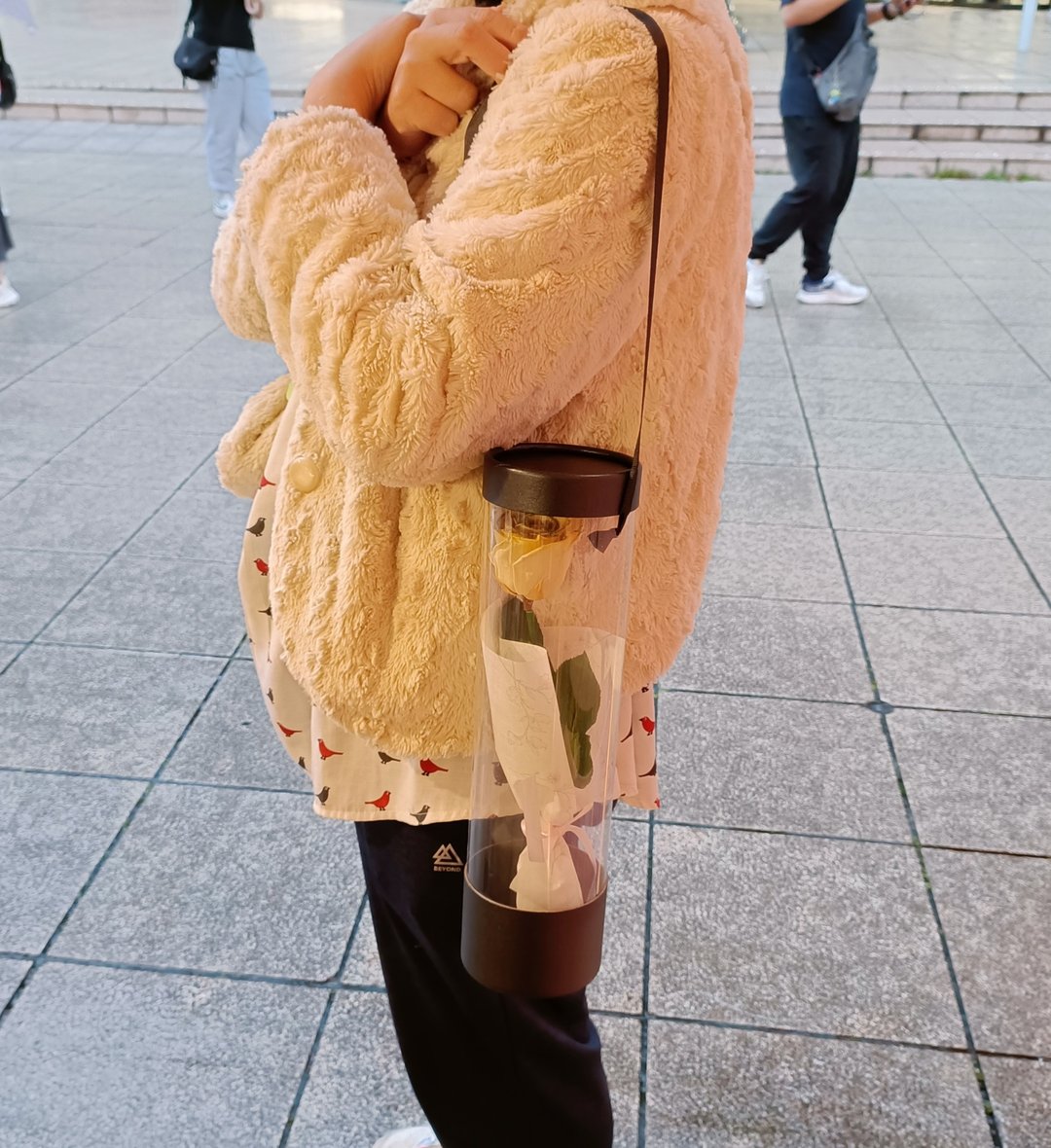 情人节永生玫瑰花束 求婚结婚捧花表演展览生日礼物七夕情人节 - 干燥花/捧花 - 植物．花 多色