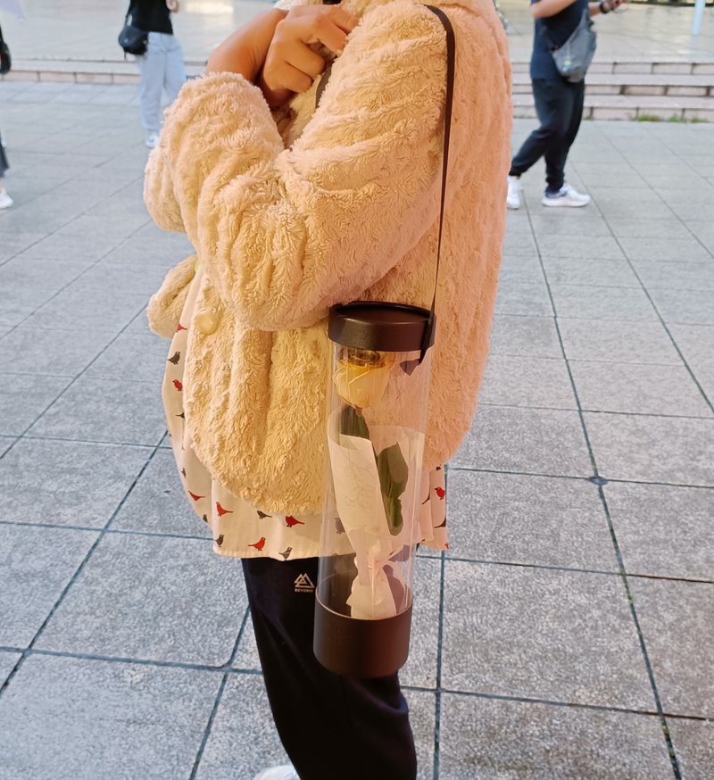 情人节永生玫瑰花束 求婚结婚捧花表演展览生日礼物七夕情人节 - 干燥花/捧花 - 植物．花 多色