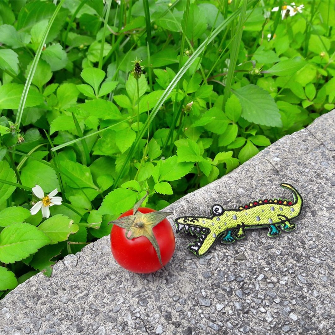 生日礼物 呆呆鳄 创意 别针 胸针 遮阳帽 野餐 配件 毕业季 - 胸针 - 绣线 绿色