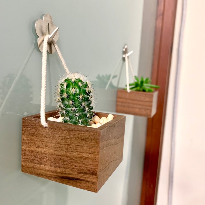 Bestar 迷你多肉植物木盒 栽种盒 置物盒 6x6x4CM - 植栽/盆栽 - 木头 黄色