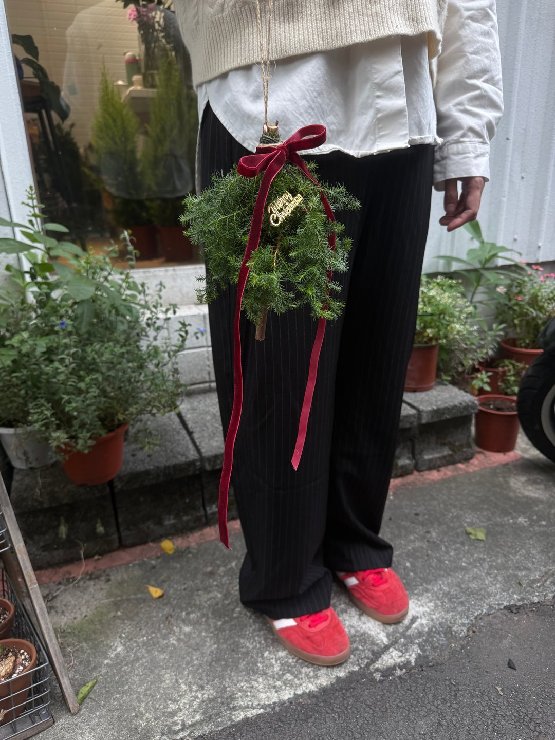 小故事商店 I 小雪松圣诞树挂饰 - 植栽 - 植物．花 