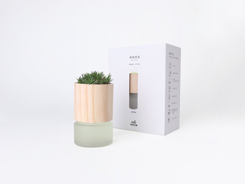 Unipapa X 花仙子 植栽香氛 玉露茶香 - 香薰/精油/线香 - 其他材质 卡其色