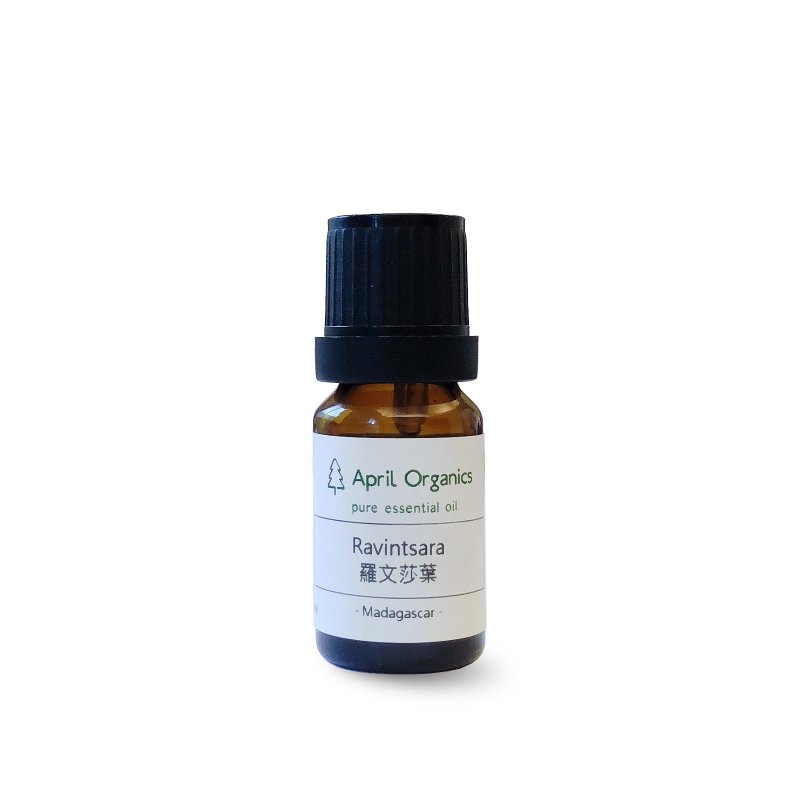 April Organics 罗文莎叶精油Ravintsara_10ml/25ml - 香薰/精油/线香 - 玻璃 