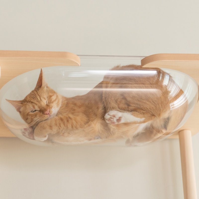 半半透明浴缸 - 床垫/笼子 - 木头 卡其色