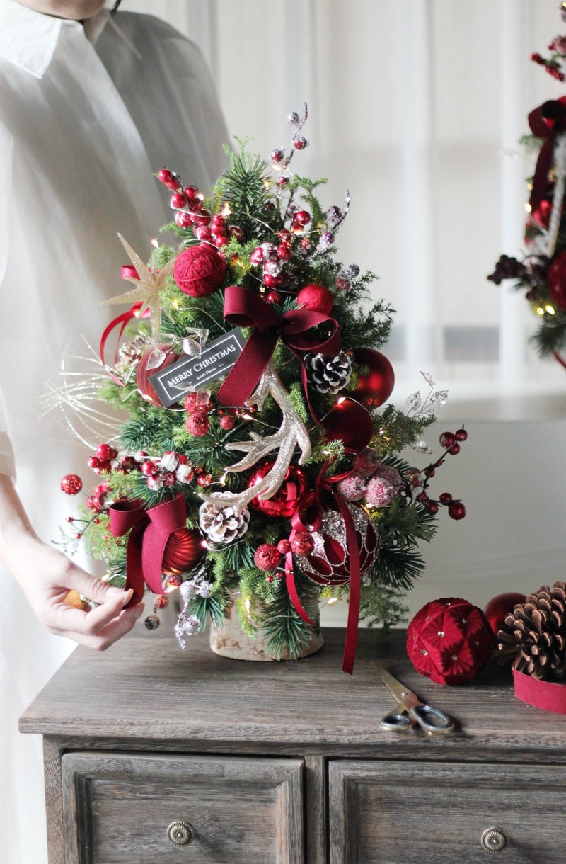 红色圣诞【新鲜圣诞树】诺贝松与雪松 圣诞树 - 植栽/盆栽 - 植物．花 多色