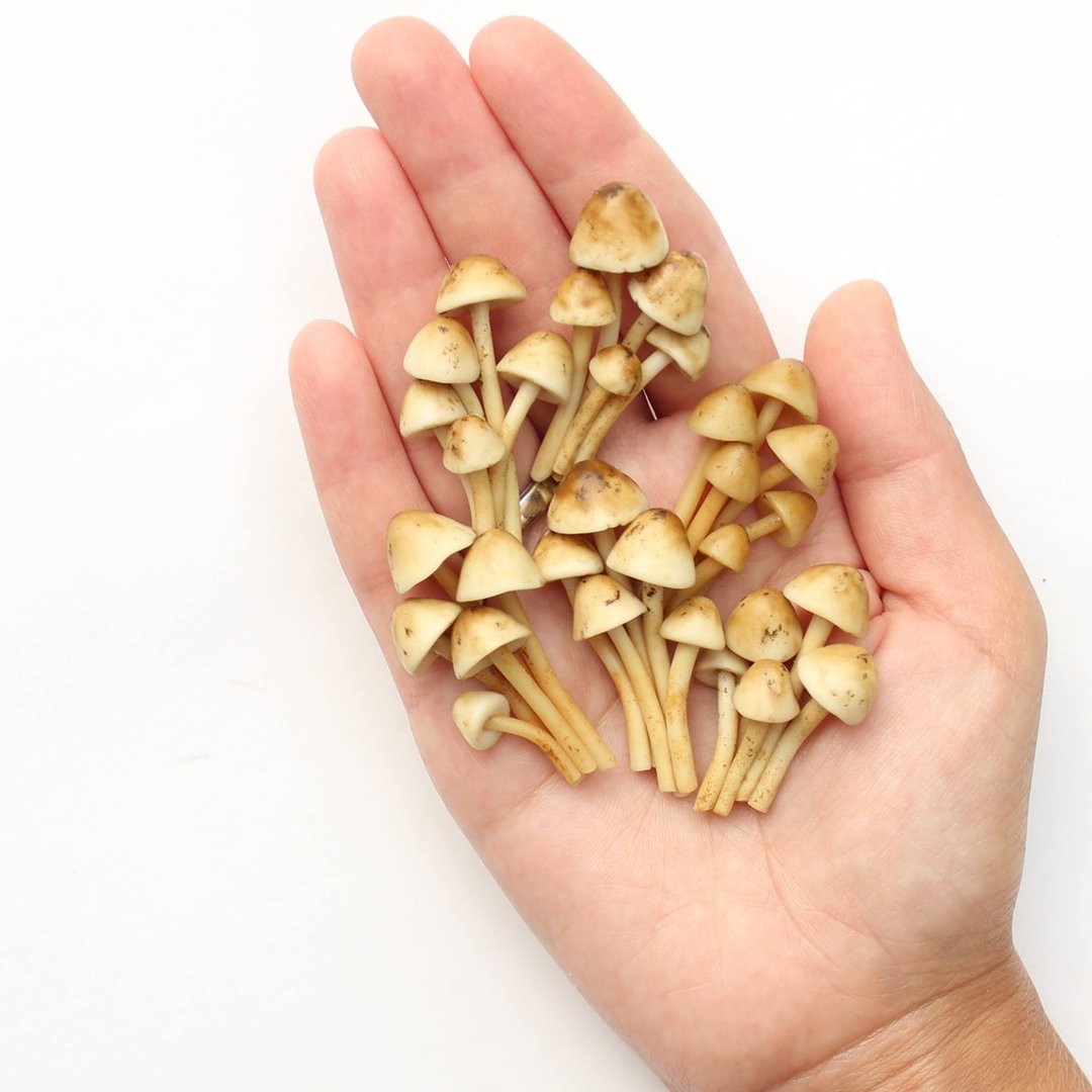 Mushrooms - fairy garden - miniature garden - gardening gifts - magic mushroom - 摆饰 - 粘土 卡其色