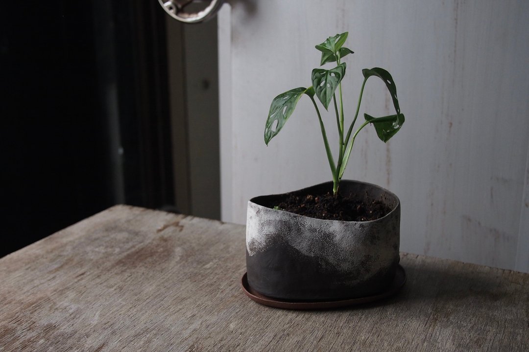 陶制花器 / 盆栽 - 植栽/盆栽 - 陶 黑色