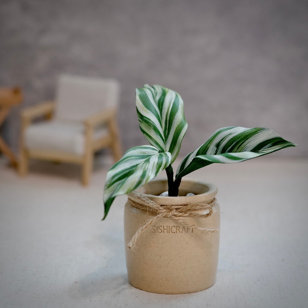 白油画竹芋皮革盆栽 观叶植物 送礼 - 植栽/盆栽 - 真皮 