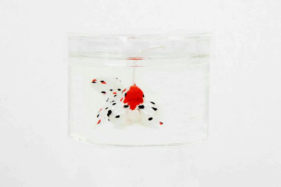 花色水泡眼金鱼罐装香氛蜡烛 Bubble eye goldfish candle - 蜡烛/烛台 - 蜡 