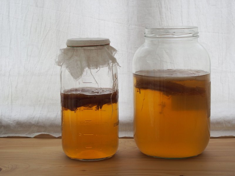 Pinkoi X Good Food Good Soul: Homebrewed Kombucha workshop - 美食 - 其他材质 多色