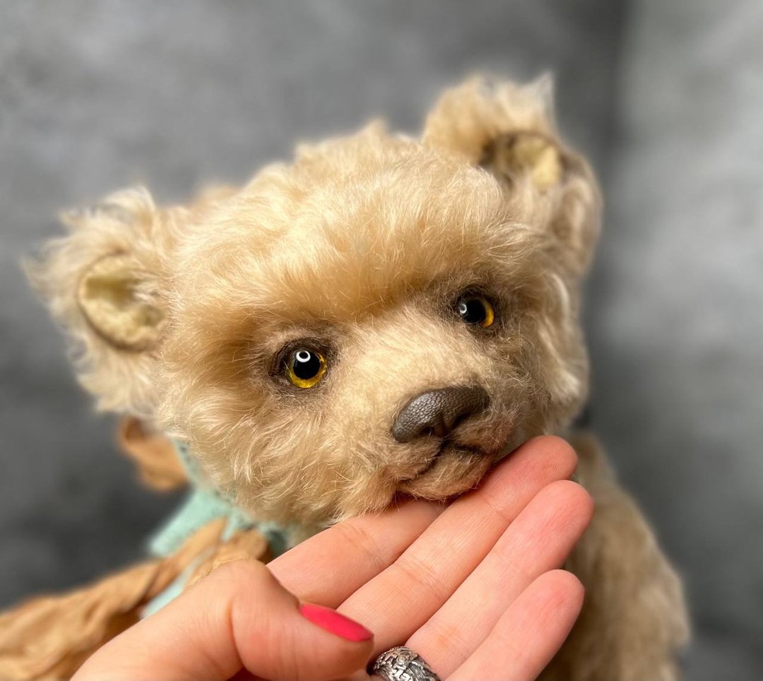 Master class Teddy bear - 其他 - 其他材质 白色