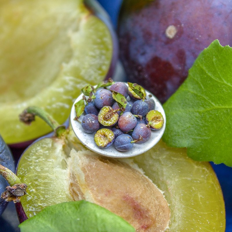 教学：用软陶制作微型切割李子 | PDF+影片 - 手工艺教程/工具书 - 其他材质 