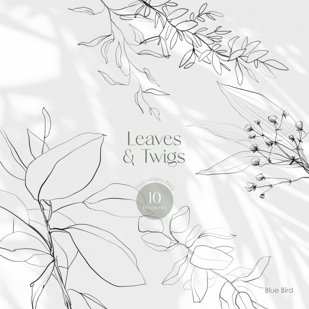 Leaves And Twigs. Botanical digital art - 电子手绘真人画像/绘画/插画 - 其他材质 