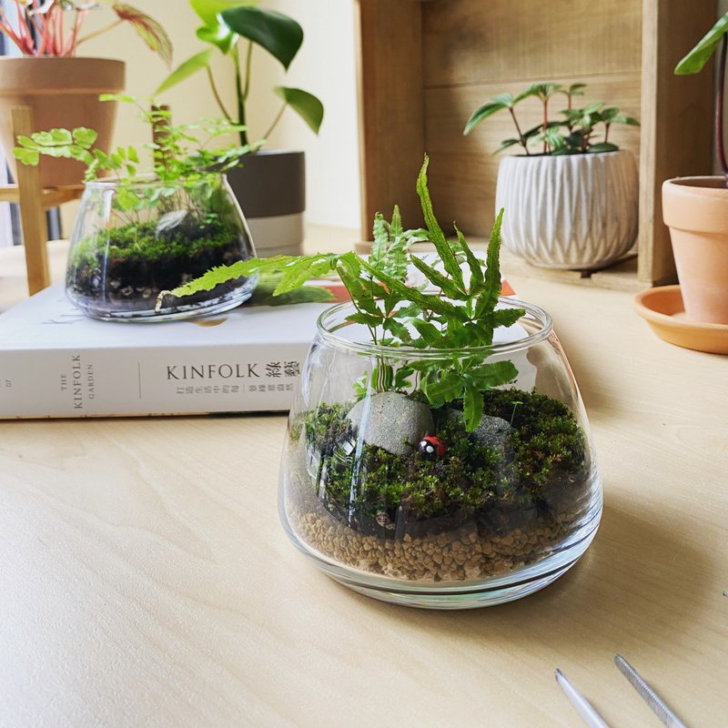 企业团体课程 | 微地景开放式生态瓶_台北手作课程 - 植栽 - 植物．花 