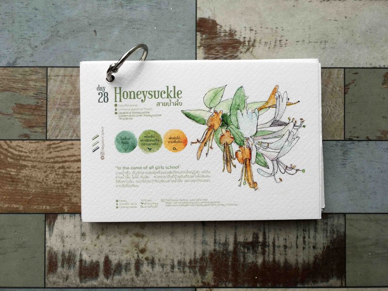 【honeysuckle 】【calendar card】【Pinkoi Xmas 2022】【ของขวัญคริสต์มาส】 - 卡片/明信片 - 纸 