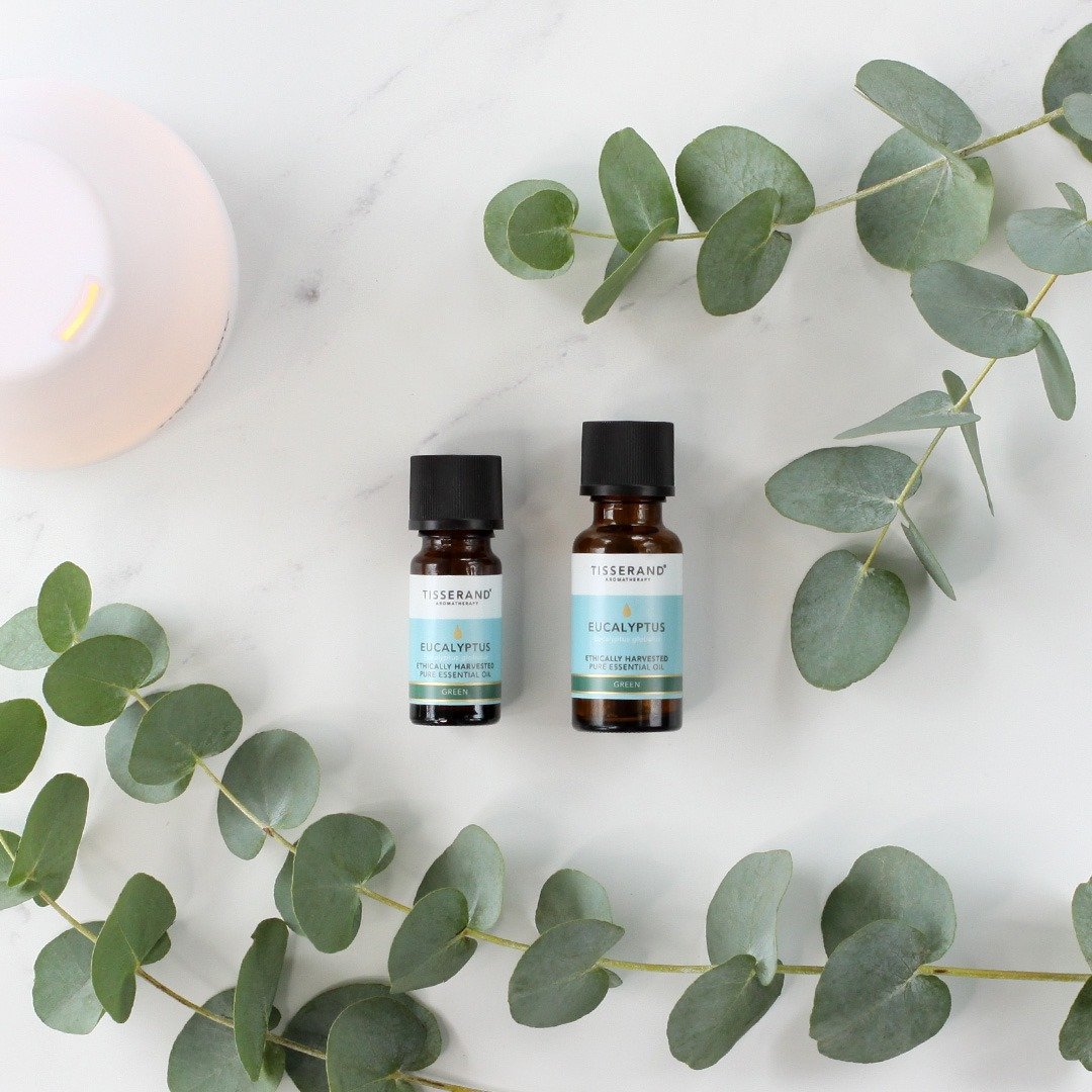 【英国原装进口】尤加利树 有机、道德 纯精油 Eucalyptus - 香薰/精油/线香 - 精油 绿色