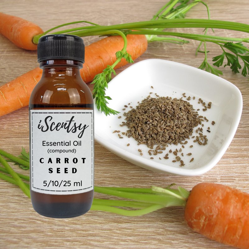 Thai Pure & Natural Essential Oil: Carrot Seed Essential Oil 100% - 蜡烛/香氛/手工皂 - 其他材质 