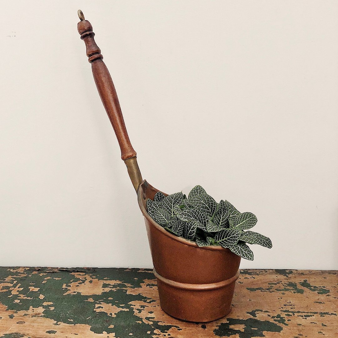 1960s 法国乡村镀铜勺子/水瓢/花器/摆饰多用途 - 植栽/盆栽 - 铜/黄铜 