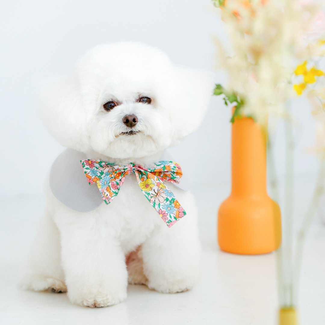 Le Sucré Liberty Tie-up Collar 宠物碎花围巾 云灰色 - 衣/帽 - 棉 灰色