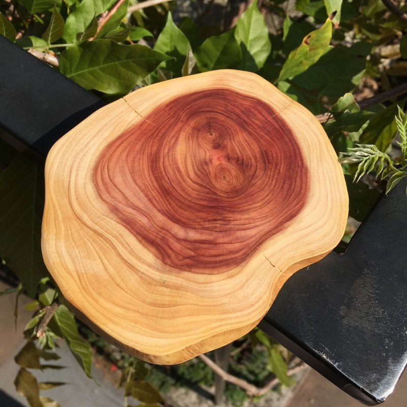 龙柏 杯垫_大 A - 杯垫 - 木头 白色