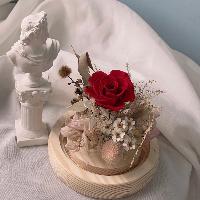 Go with the Flow 永生玻璃钟罩-小灯里的深红玫瑰 - 干燥花/捧花 - 植物．花 红色