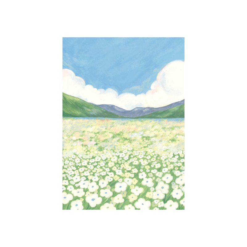 Postcard - 卡片/明信片 - 纸 多色