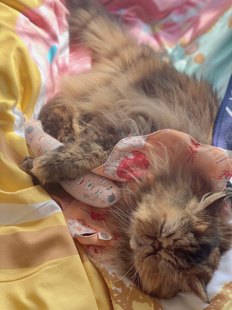 新年款 醒狮招财猫 花形口水肩 - 衣/帽 - 棉．麻 多色