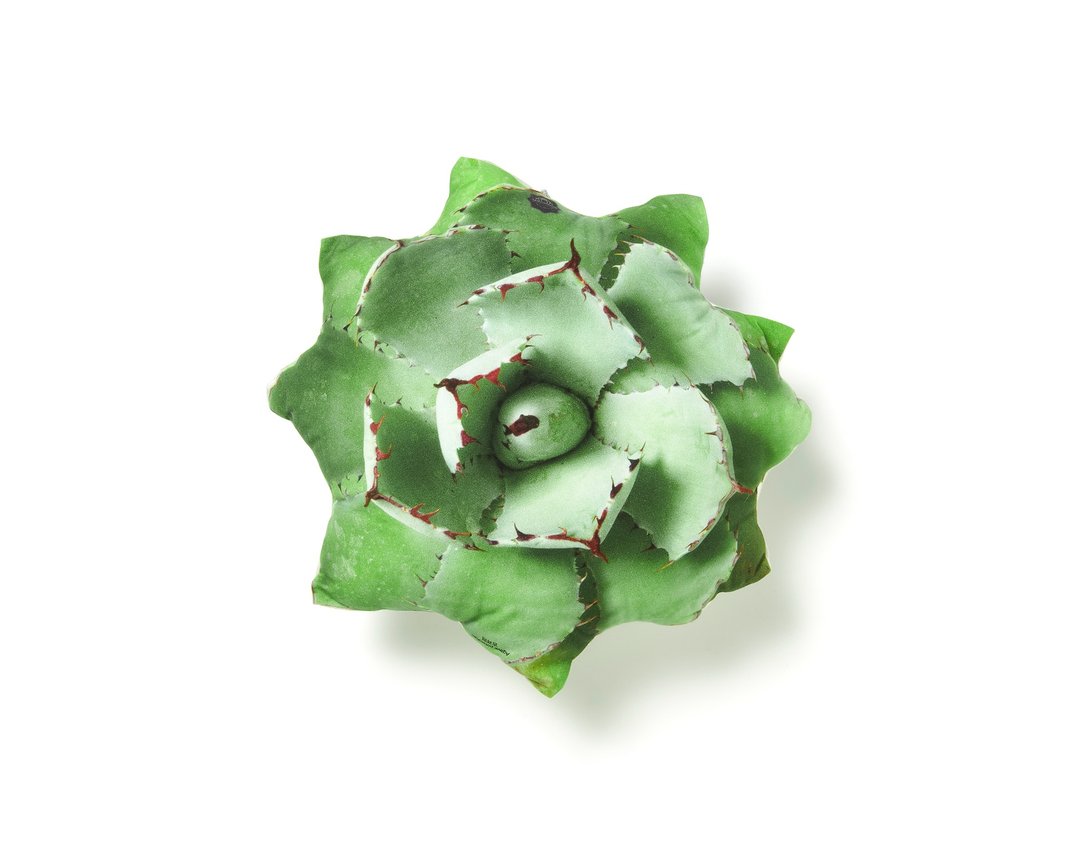 Tanicushion Agave potatorum - 枕头/抱枕 - 棉．麻 绿色