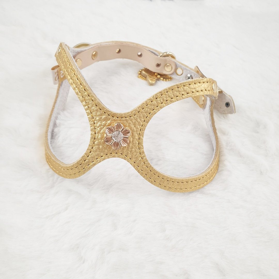 【定制化】Buddy Belts 铆钉定制服务(限加购) - 项圈/牵绳 - 贵金属 