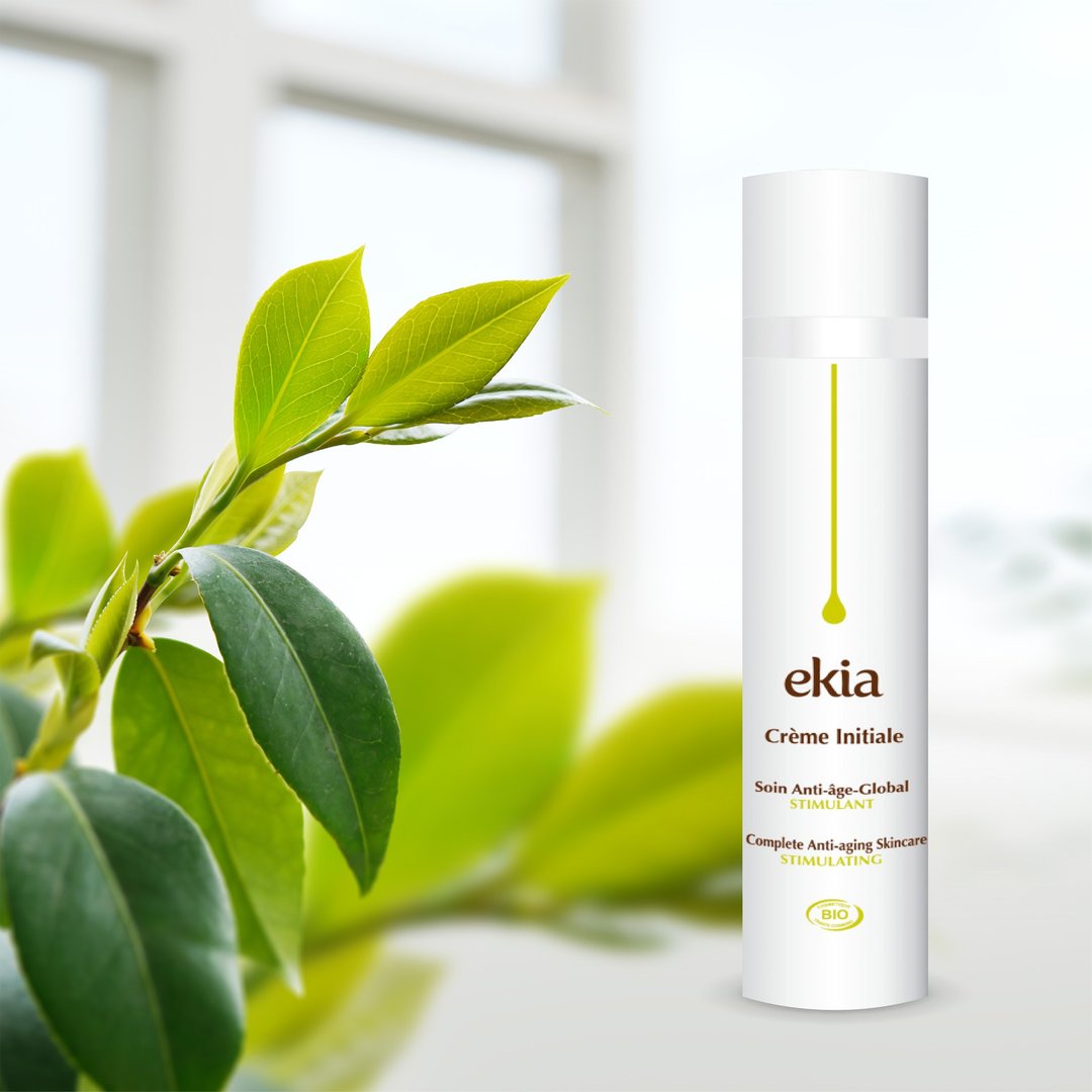 【EKIA－即期优惠】龙血特效抗皱再生霜１号 50ml－效期 2020. 12 - 日霜/晚霜 - 浓缩/萃取物 白色