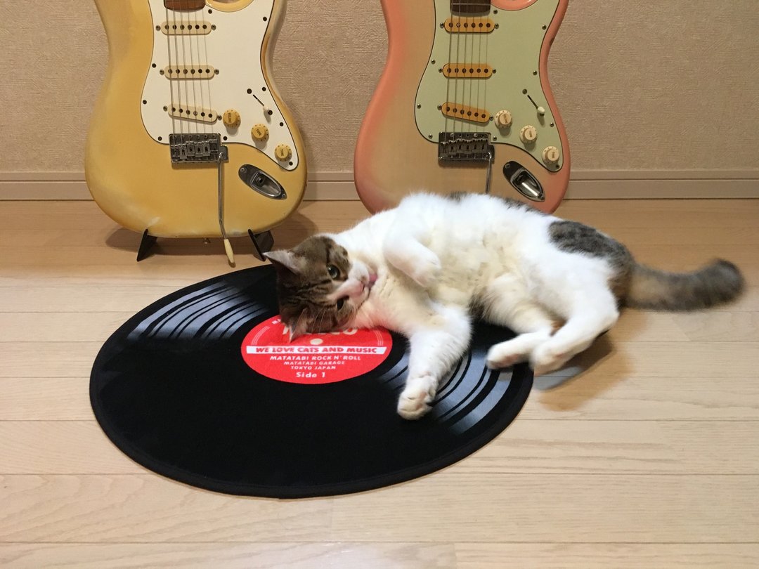 唱片造型的猫毯 - 其他 - 其他人造纤维 