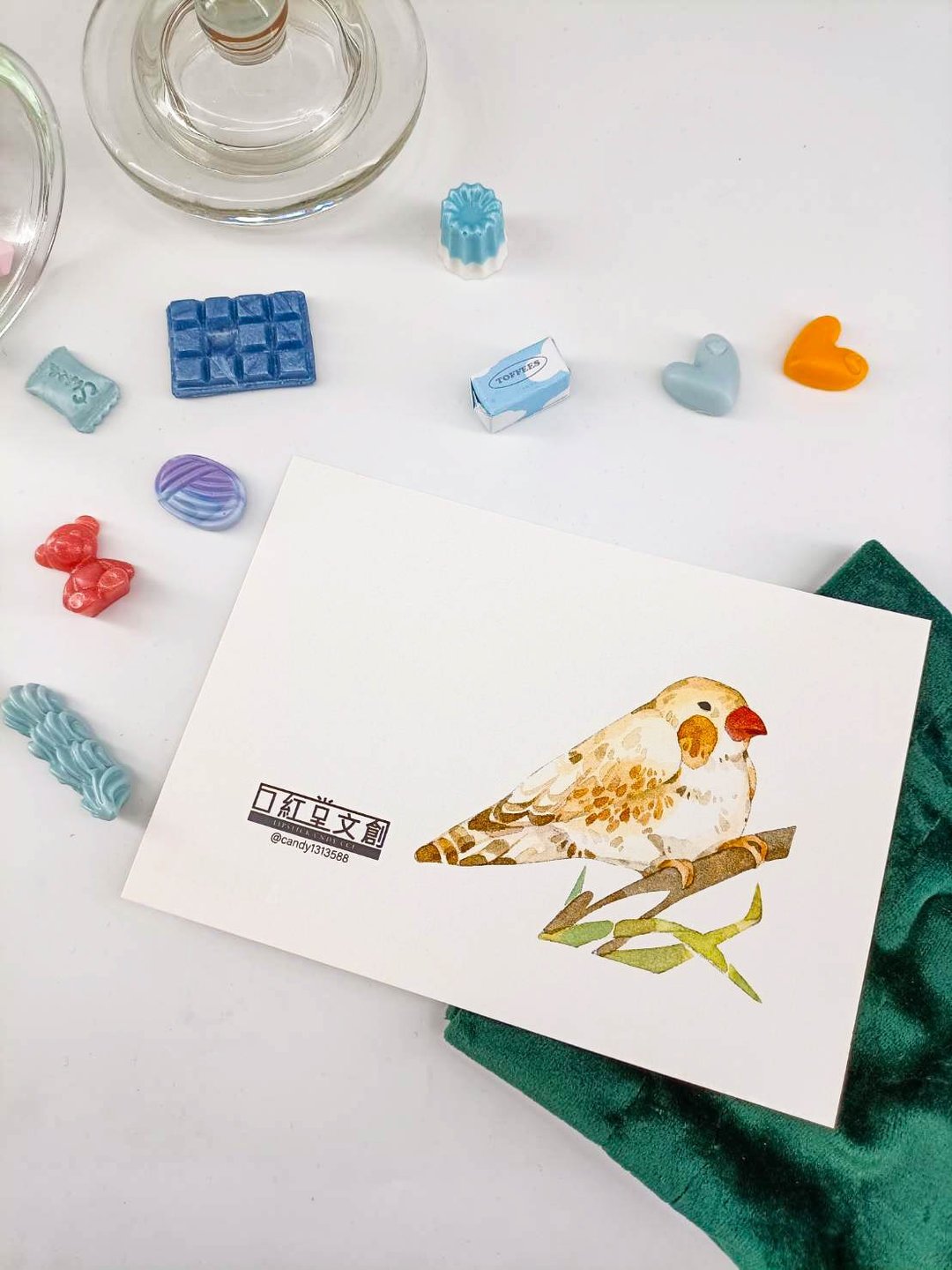 KR474_口紅堂明信片_文鳥11_candy1313588 postcard - 卡片/明信片 - 纸 多色
