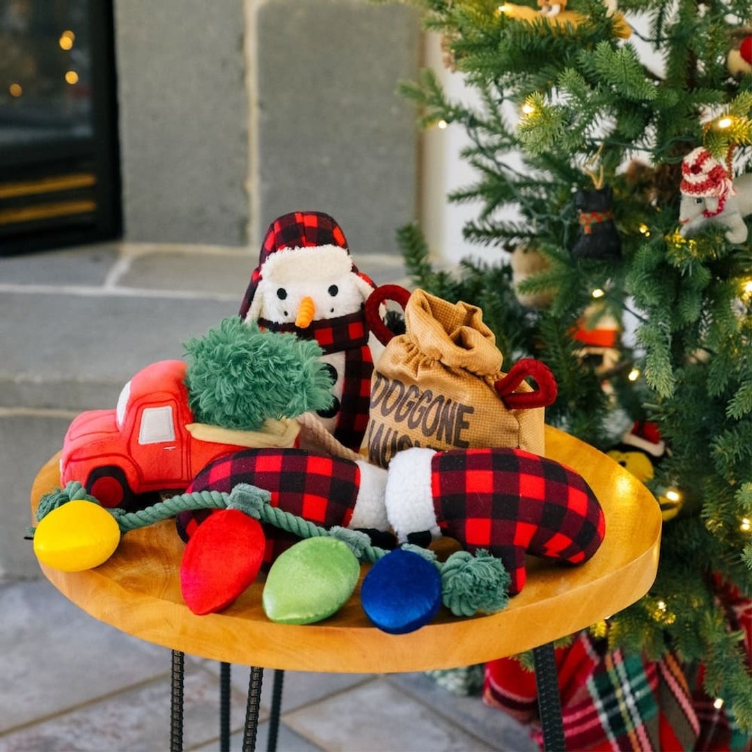 【P.L.A.Y.节日居家系列 Home for the Holidays】5件组 宠物陪伴 - 玩具 - 环保材料 