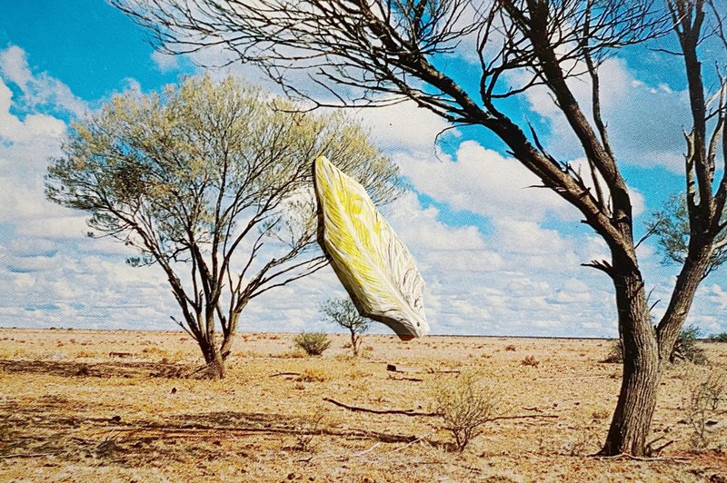 木刻手绘坠饰 - 羽毛 - 其他 - 木头 黄色