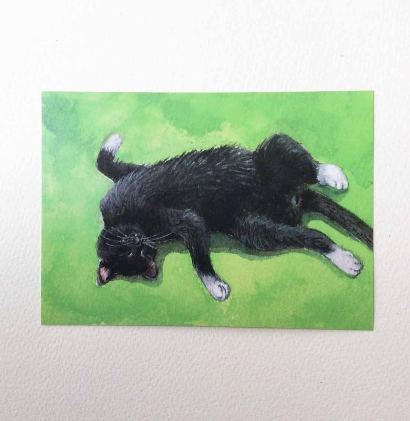 猫咪好眠系列  手绘明信片  黑猫 - 卡片/明信片 - 纸 绿色