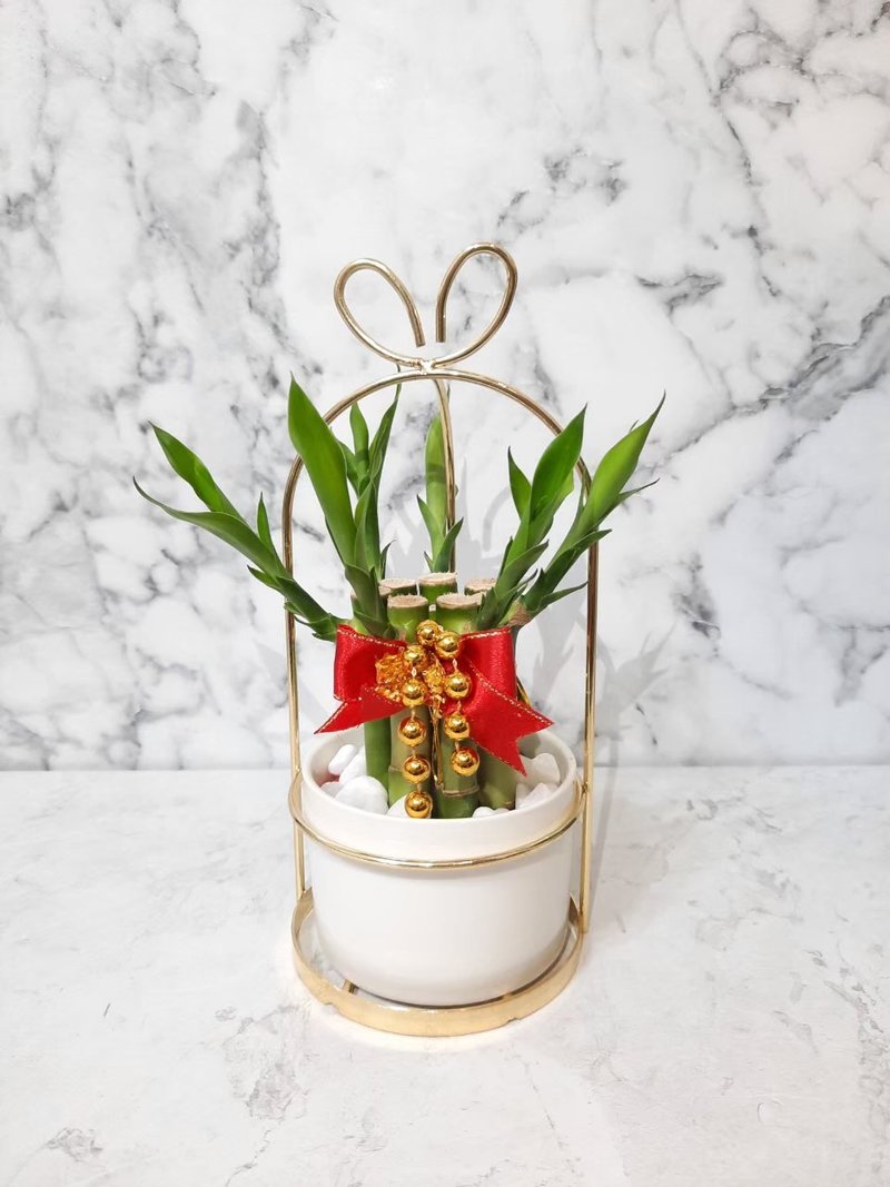 爱心提篮 开运竹 万年青 开幕送礼 居家摆件 乔迁 入厝 礼物 - 植栽/盆栽 - 其他金属 金色