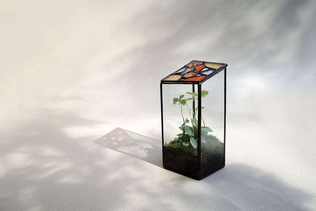 光室/玻璃器皿/花房/苔藓瓶/闷养瓶/镶嵌玻璃 - 植栽/盆栽 - 玻璃 多色