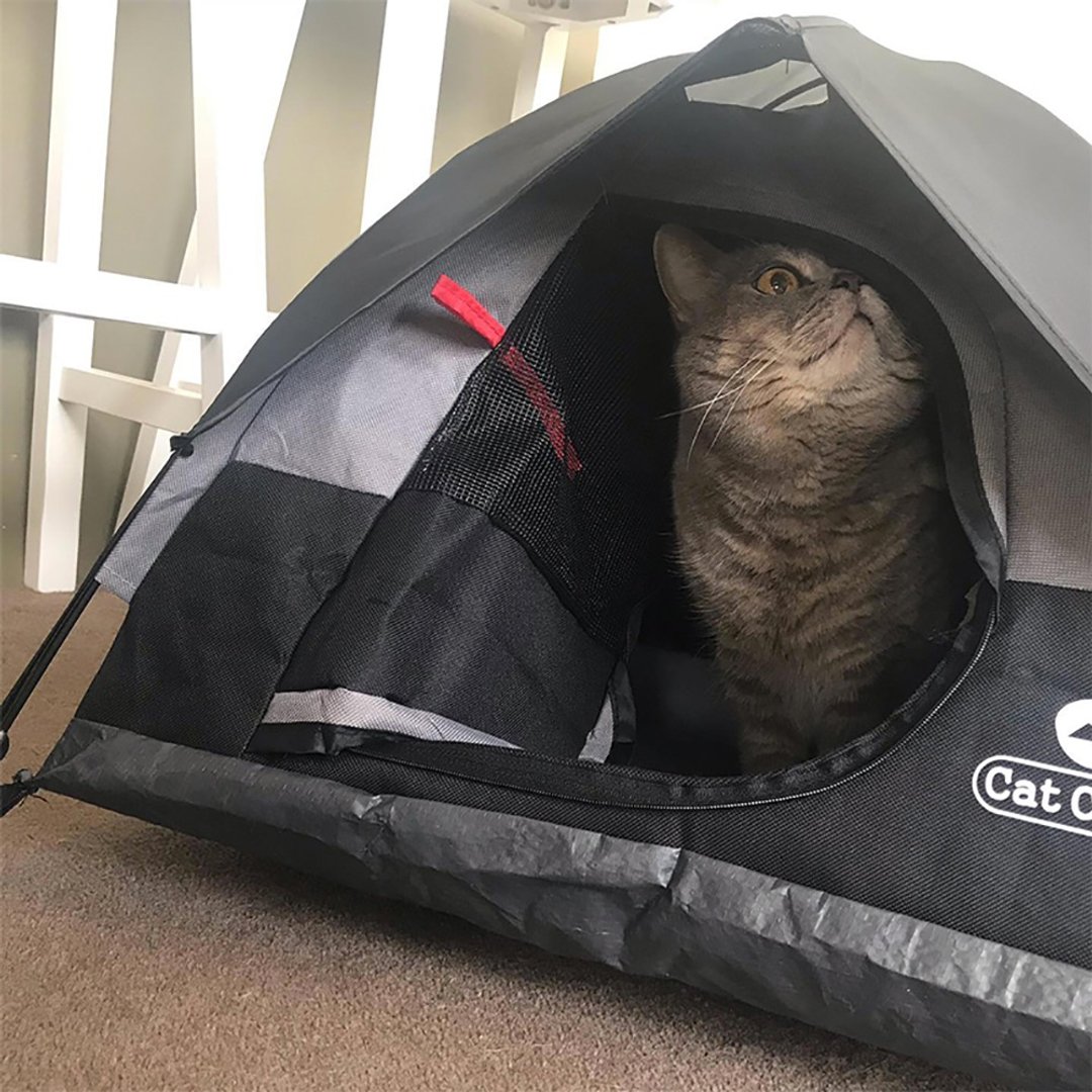 CatCamp猫咪露营帐篷-帅气黑 - 床垫/笼子 - 塑料 