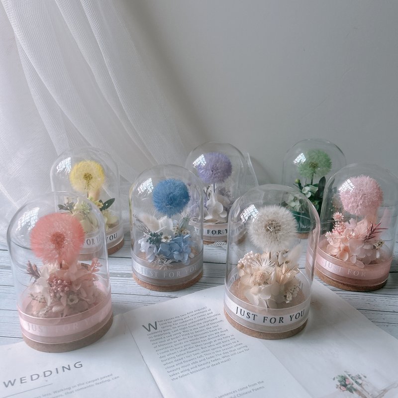 玻璃罩 蒲公英 永生花 生日礼物 闺蜜礼物 - 干燥花/捧花 - 植物．花 