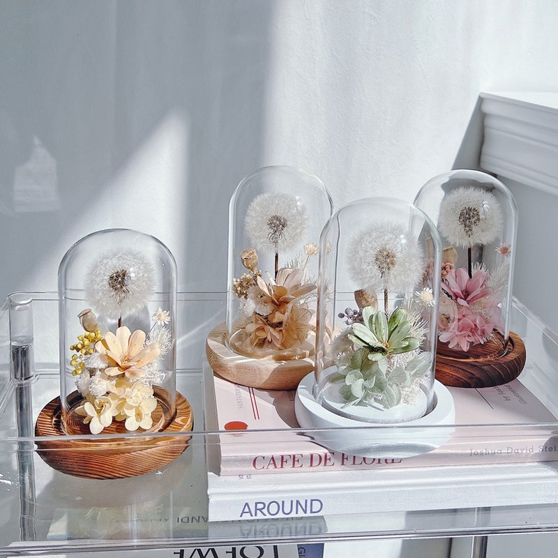 母亲节礼盒毕业礼物 定制化礼物 生日礼物 永生蒲公英玻璃罩 干燥 - 干燥花/捧花 - 植物．花 白色