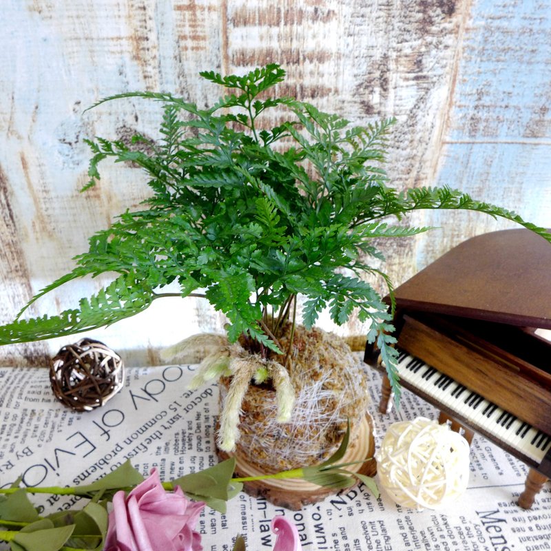 芊艹手作/ 蕨类系列苔球 - 兔脚蕨 - 植栽/盆栽 - 植物．花 绿色