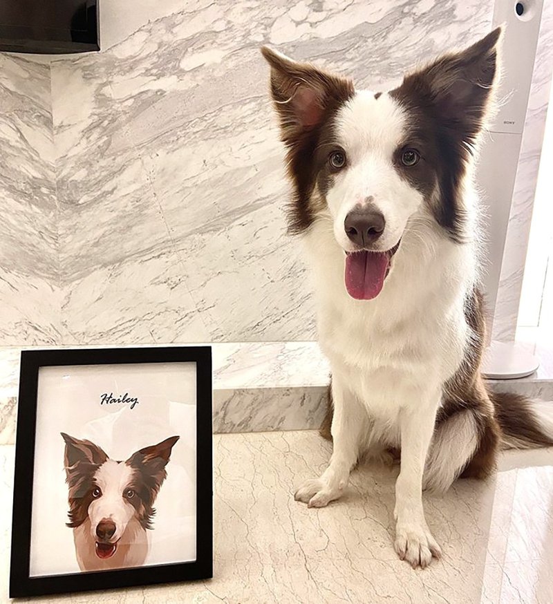 10寸北欧风手绘宠物相框画 - 订制画像 - 其他材质 