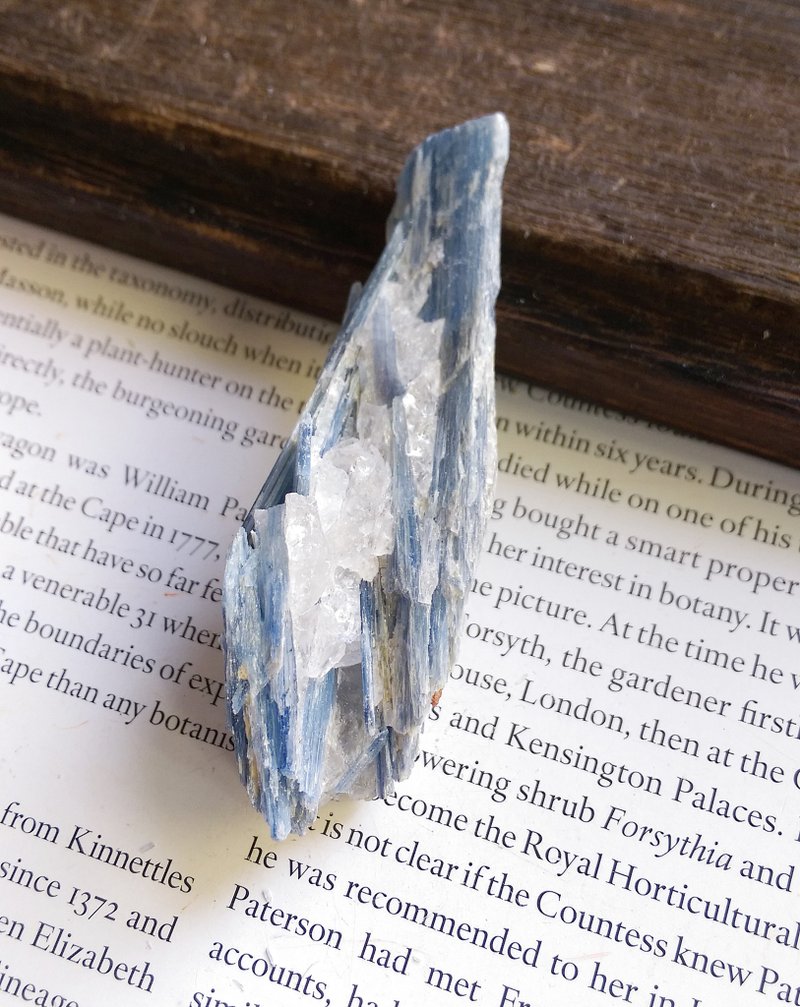 Kyanite 安徽产地 蓝晶石 石英共生矿 天然矿石 原矿 - 摆饰 - 其他材质 