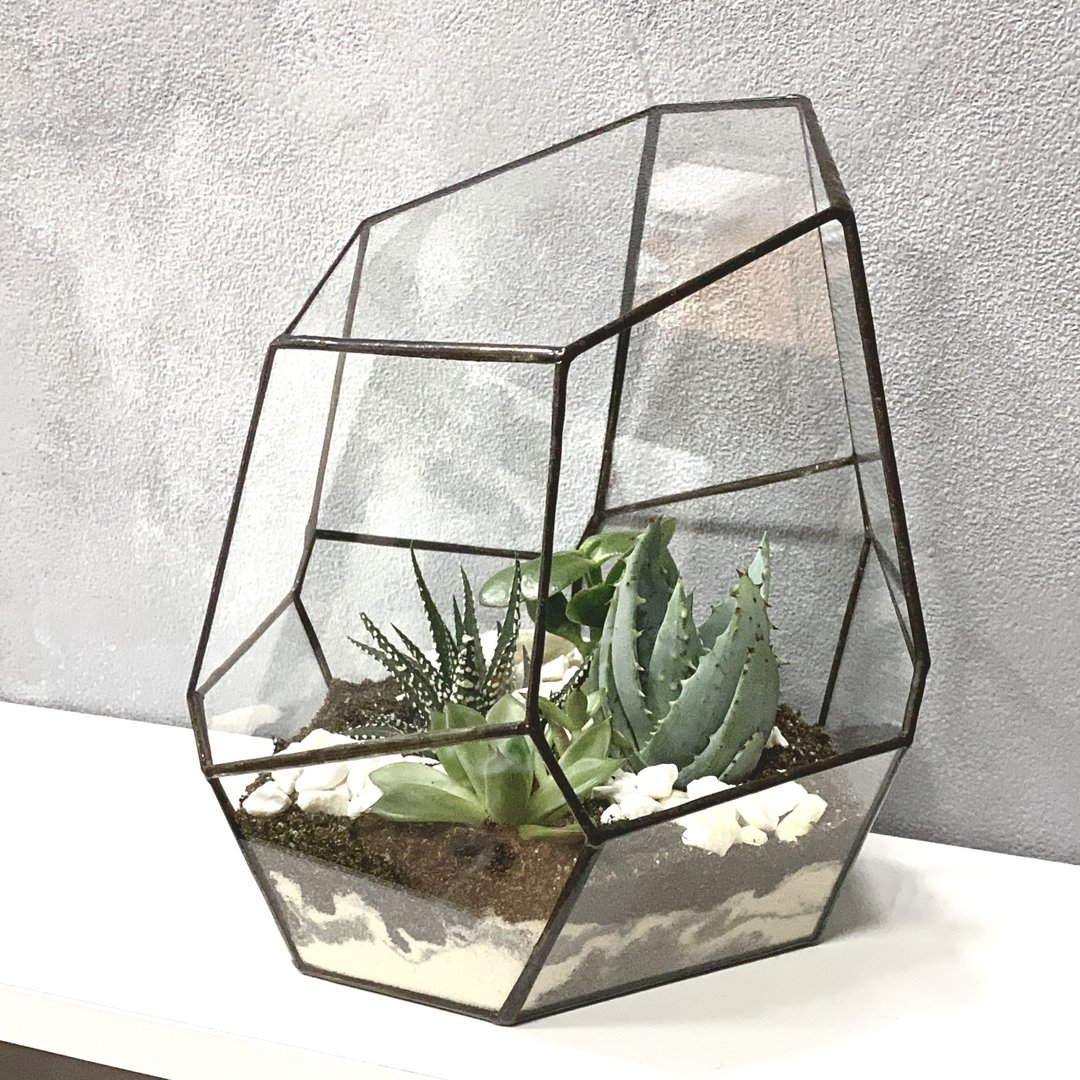 几何的爬虫类馆, 多肉植物, 自造的玻璃制品 ,居家装饰,植物,结婚 - 植栽/盆栽 - 玻璃 