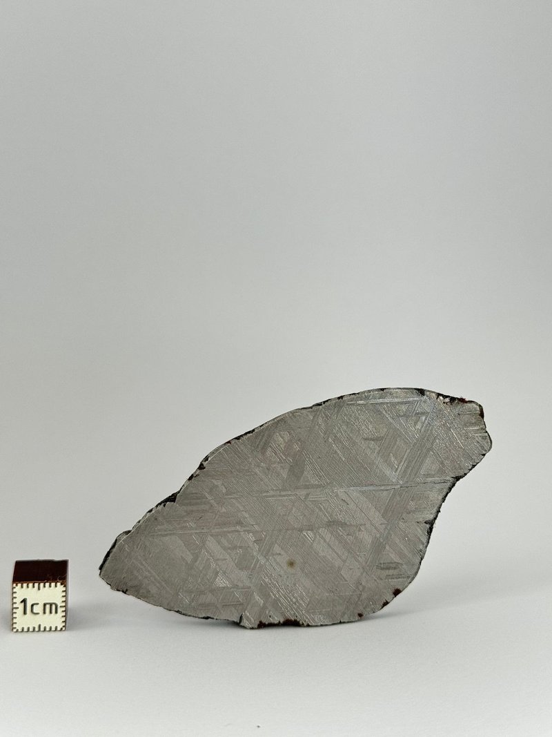 Muonionalusta陨石 瑞典。69,83克切片。 - 摆饰 - 其他材质 